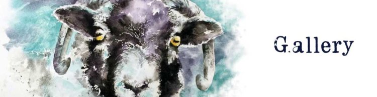 gallery banner
