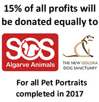 Charity Pet portraits 2017