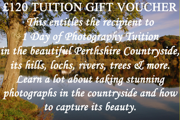 £120-Tuition-Voucher