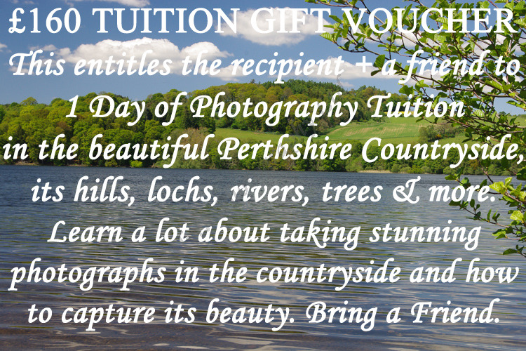 £160-Bring-a-Friend-Tuition-Voucher