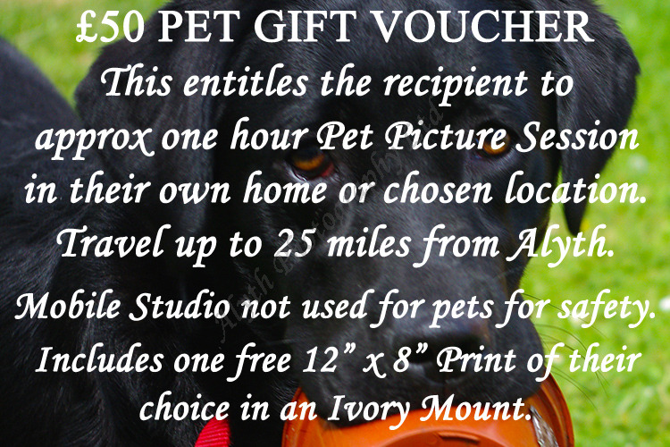 £50-Pet-Voucher