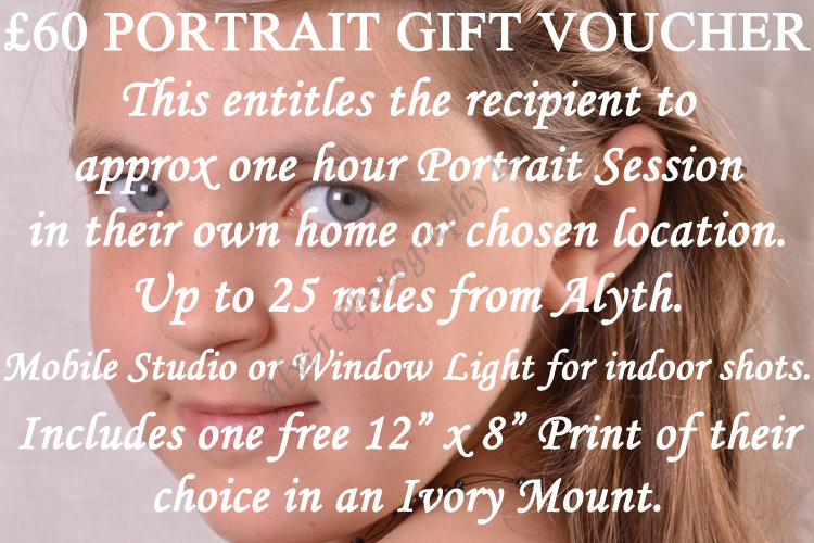 £60-Portrait-Voucher