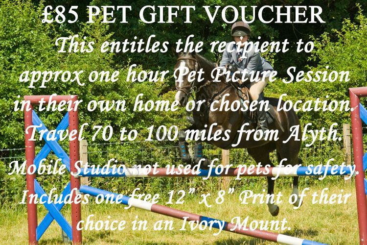 £85-Pet-Voucher