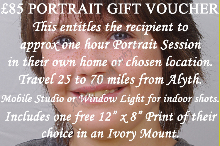 £85-Portrait-Voucher