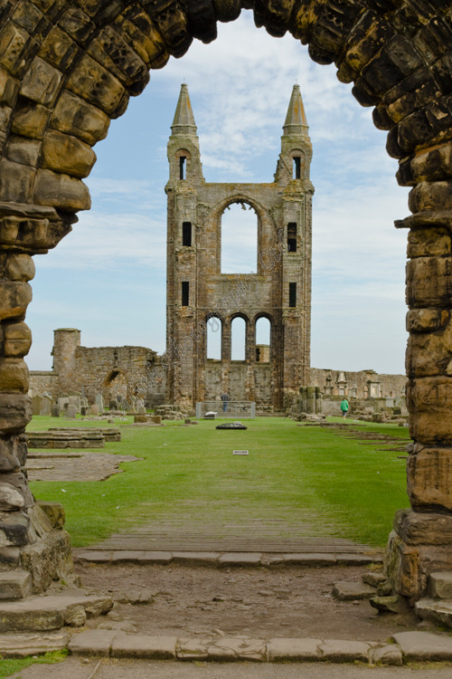 AANWS St Andrews Cathedral 3636