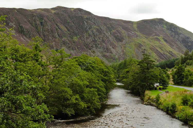 AANWL The Sma' Glen Looking South 3757
