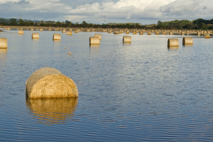 AANWA Flooded Bales Meigle Perthshire 4434