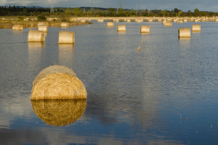 AANW River Isla Floods Field Perthshire A4456