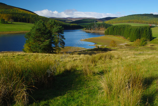 AAPWL 3778 Backwater Dam Glenisla