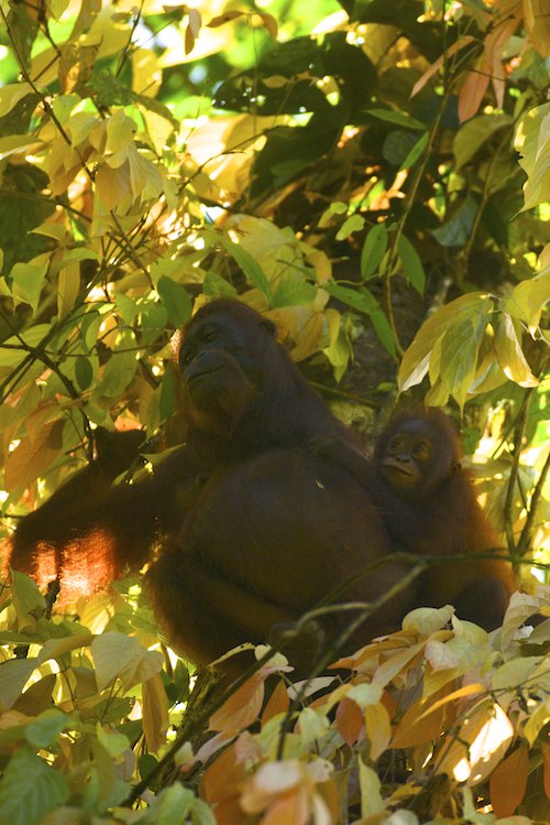 Mum and baby