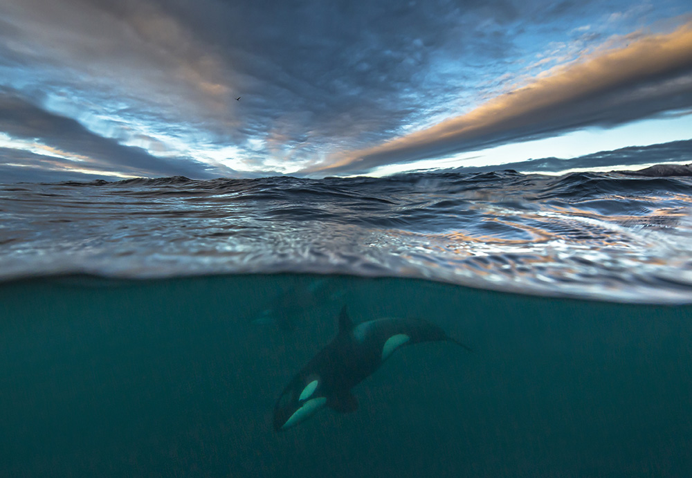 photographie Audun Rikarsen