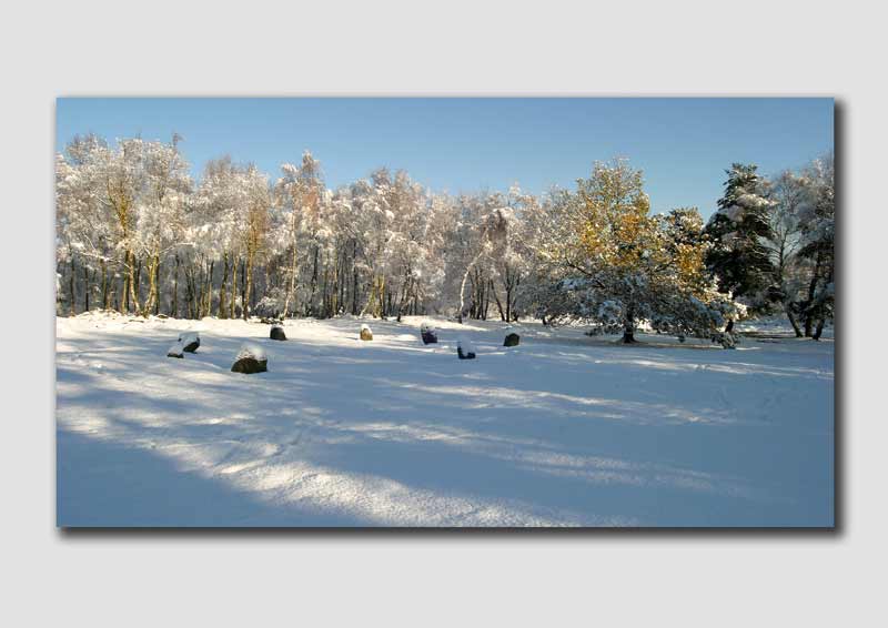 Nine Ladies Stone Circle in the snow - PP028