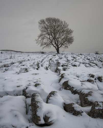 Malham Lings