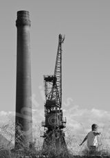 Highly Commended at Tulip Time Photographic Exhibition