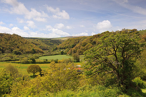 Mynydd Cilciffeth