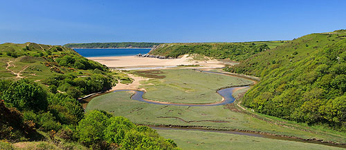 Salt Marshes