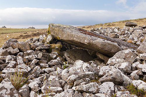 Carn Menyn , Cairn - Chambered Tomb