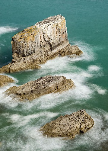 Green Bridge Stack