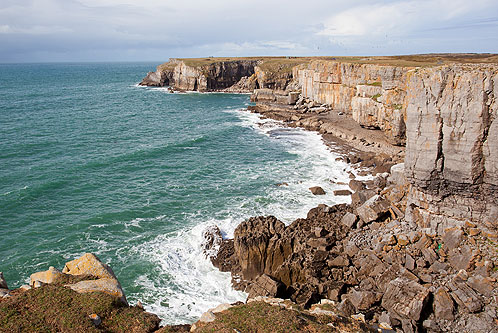 Newton Head