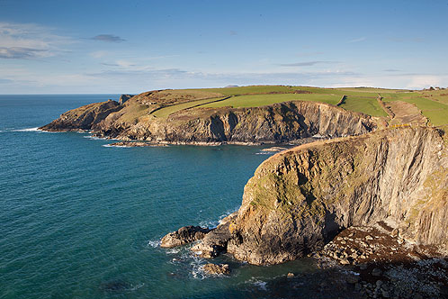 Trwyn Llwyd
