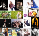 Photography Highlights of 2013