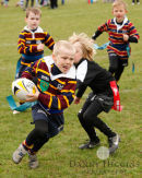 Tring Rugby Festival a great success