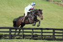 Ponies and scrums - a month of sports photography in the great outdoors