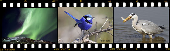 Side Filmstrip 2 Home page