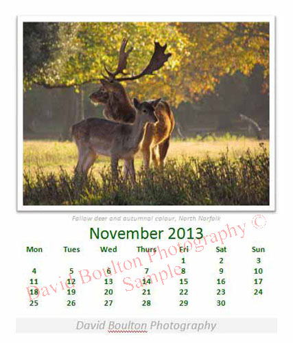 November 2013