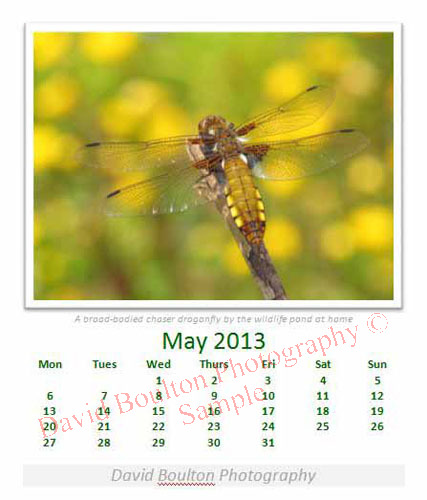 May 2013