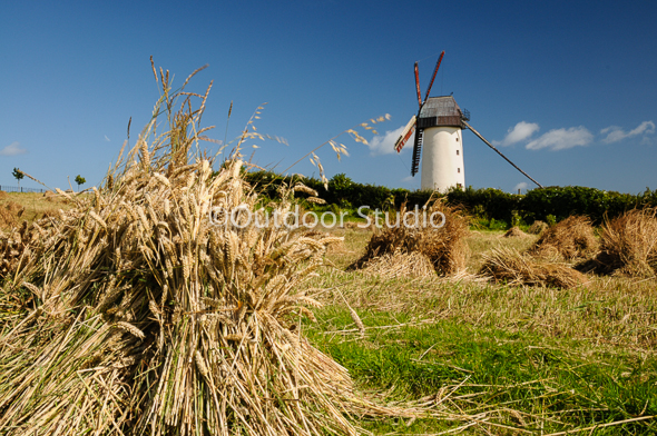 TRAVEL & LANDSCAPE - SKERRIES MILLS - AUGUST 2017 - 2 DAY WORKSHOP