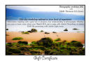 Gift Certificate