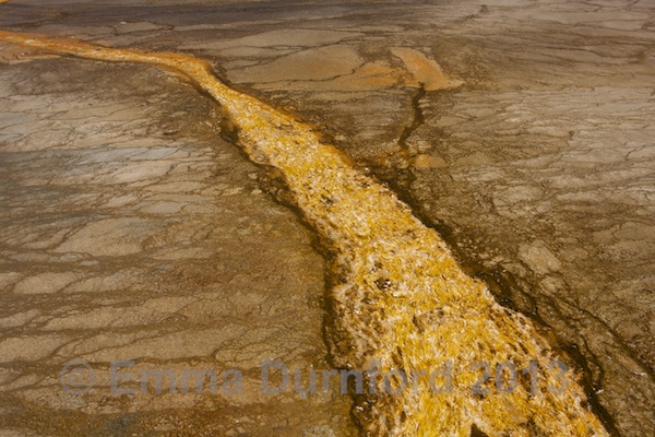 Run off from the Grand Prismatic Spring