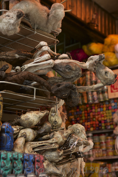 The Witches' Market