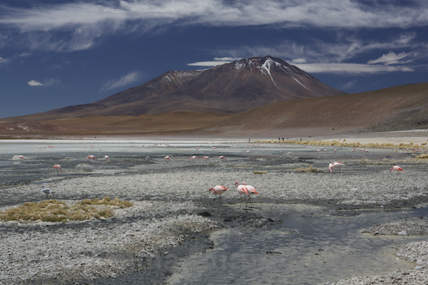 Salar de Chalviri