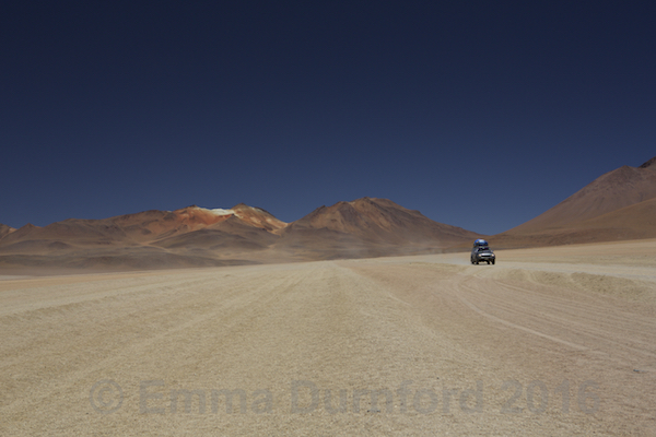 Salvador Dalí Desert