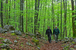 Assignment: Kalkalpen National Park