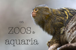 On zoos and aquaria