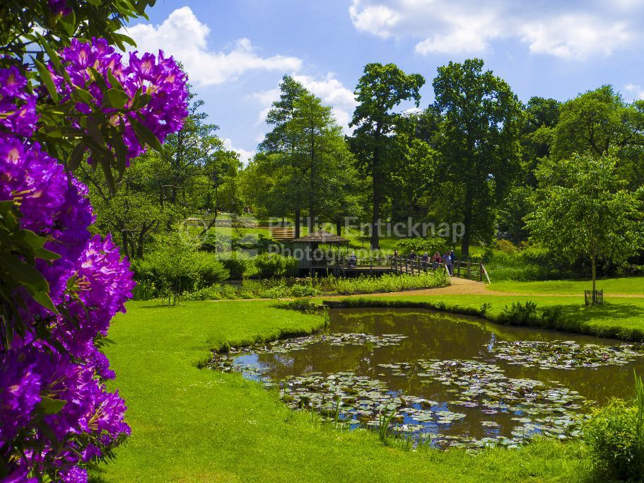 The Savill Garden,Windsor Great Park England.