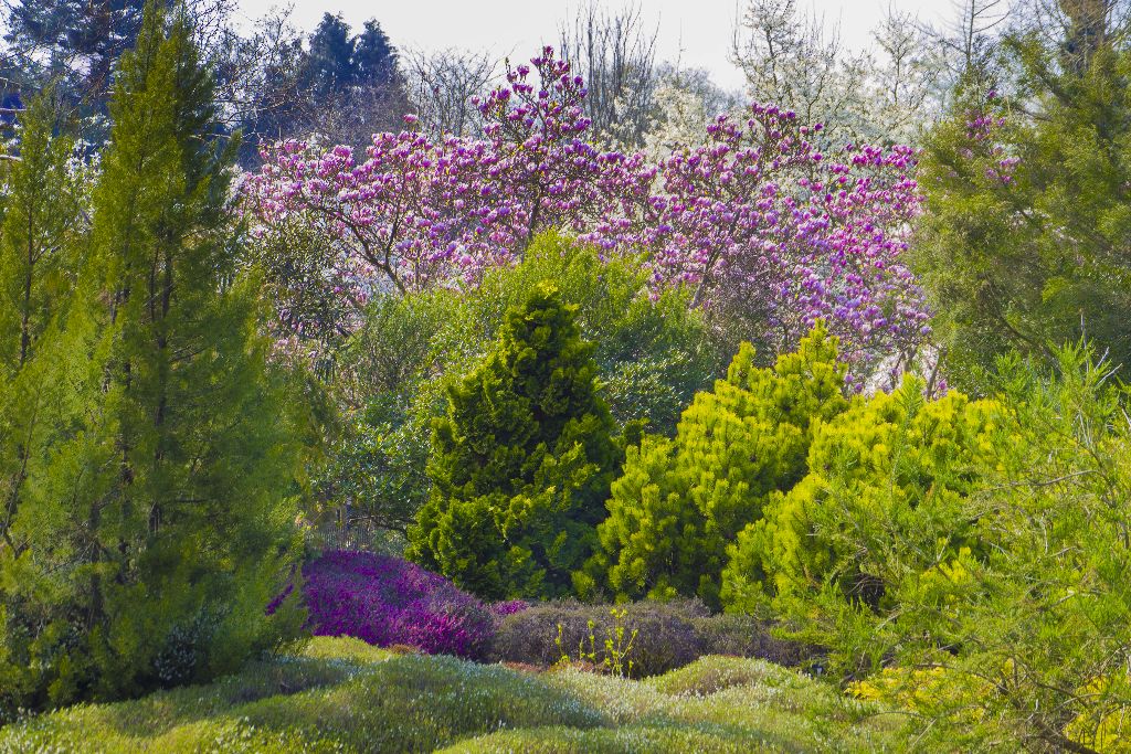 Sir Harold Hillier Gardens. Romsey, Hampshire, England.