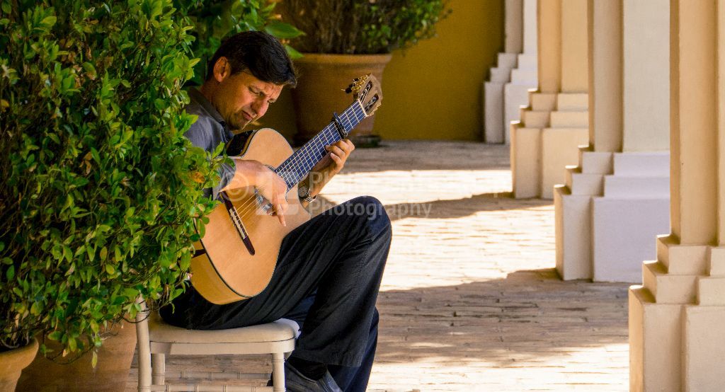 Spanish Classical Guitarist