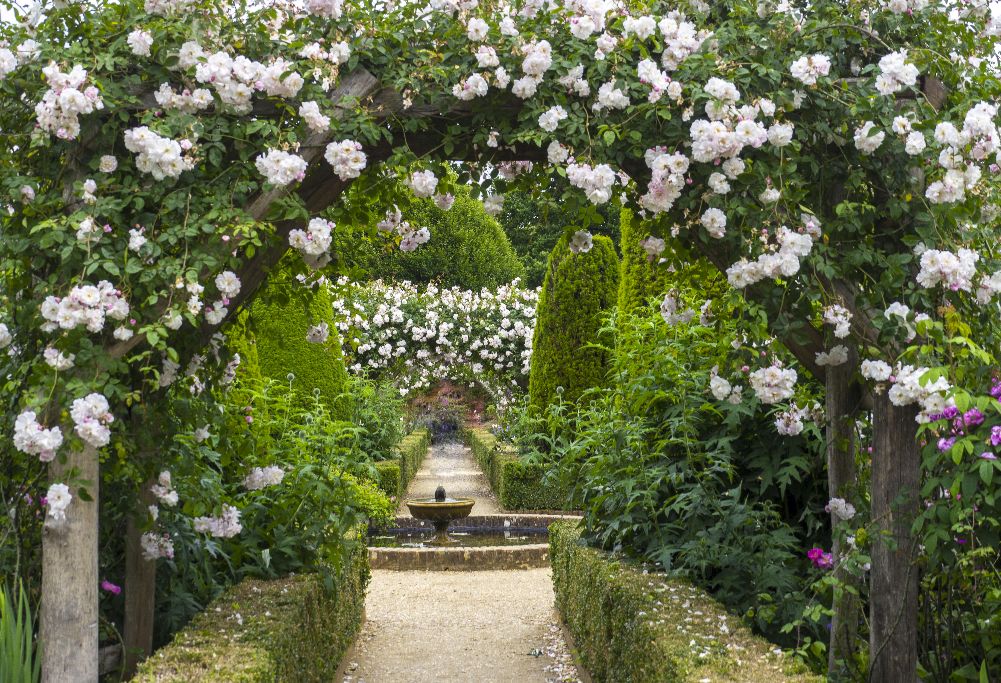 Rose Garden at Montrisfont Abbey, Romsey,Hampshire