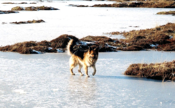 Skating on thin ice