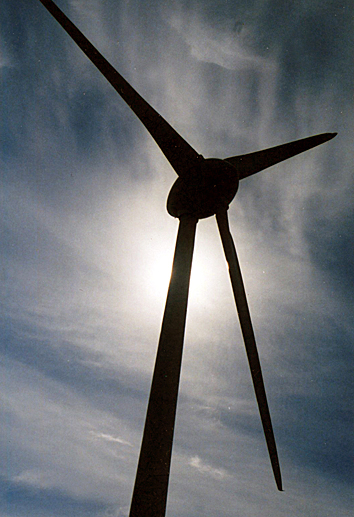 Windfarm, Skelmonae