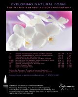 Fine Art 'Natural Form' Photographs on display in Berkhamsted - further works added