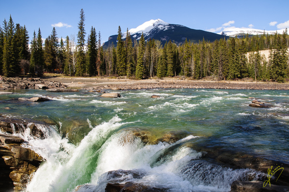 Athabasca Falls.