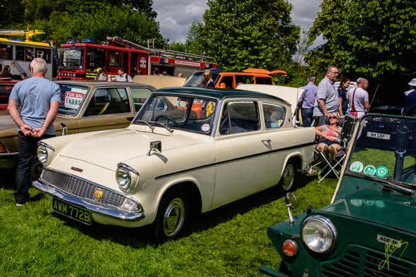 Cars in the Park.