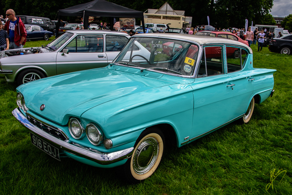 Cars in the Park.