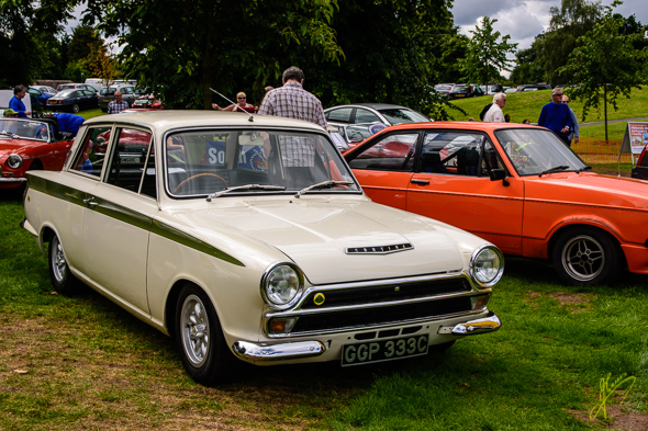 Cars in the Park.