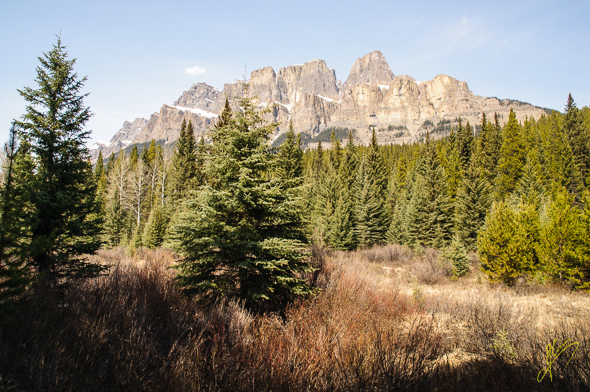 Castle Mountain.